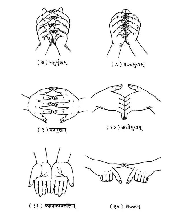 6-12 mudras